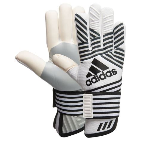 adidas Goalkeeper Gloves ACE Trans Pro Dust Storm 